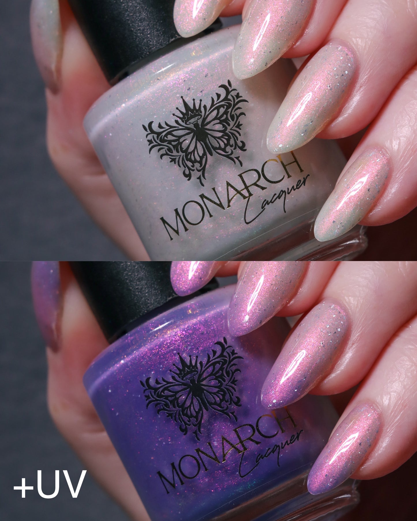 Sunspell