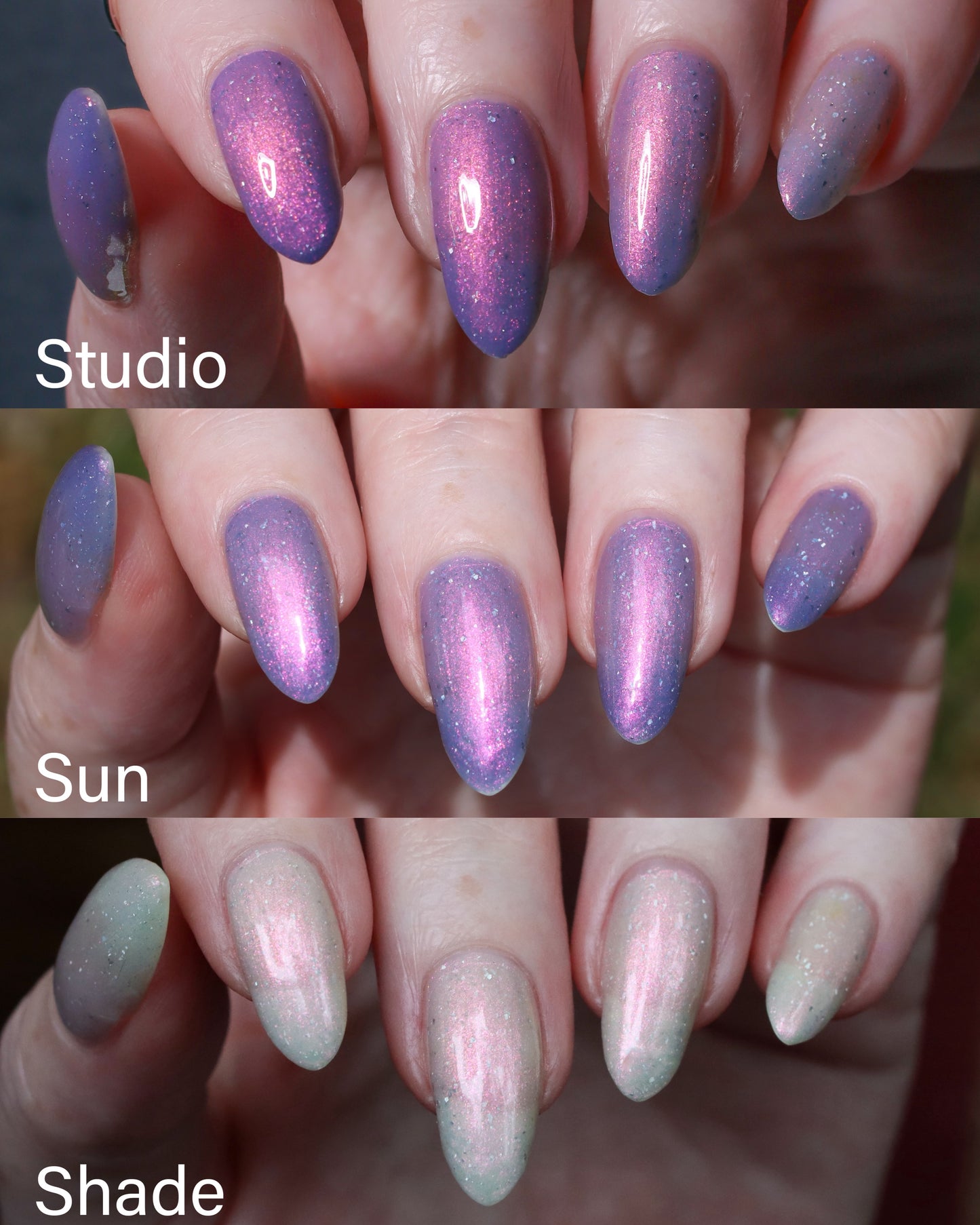 Sunspell