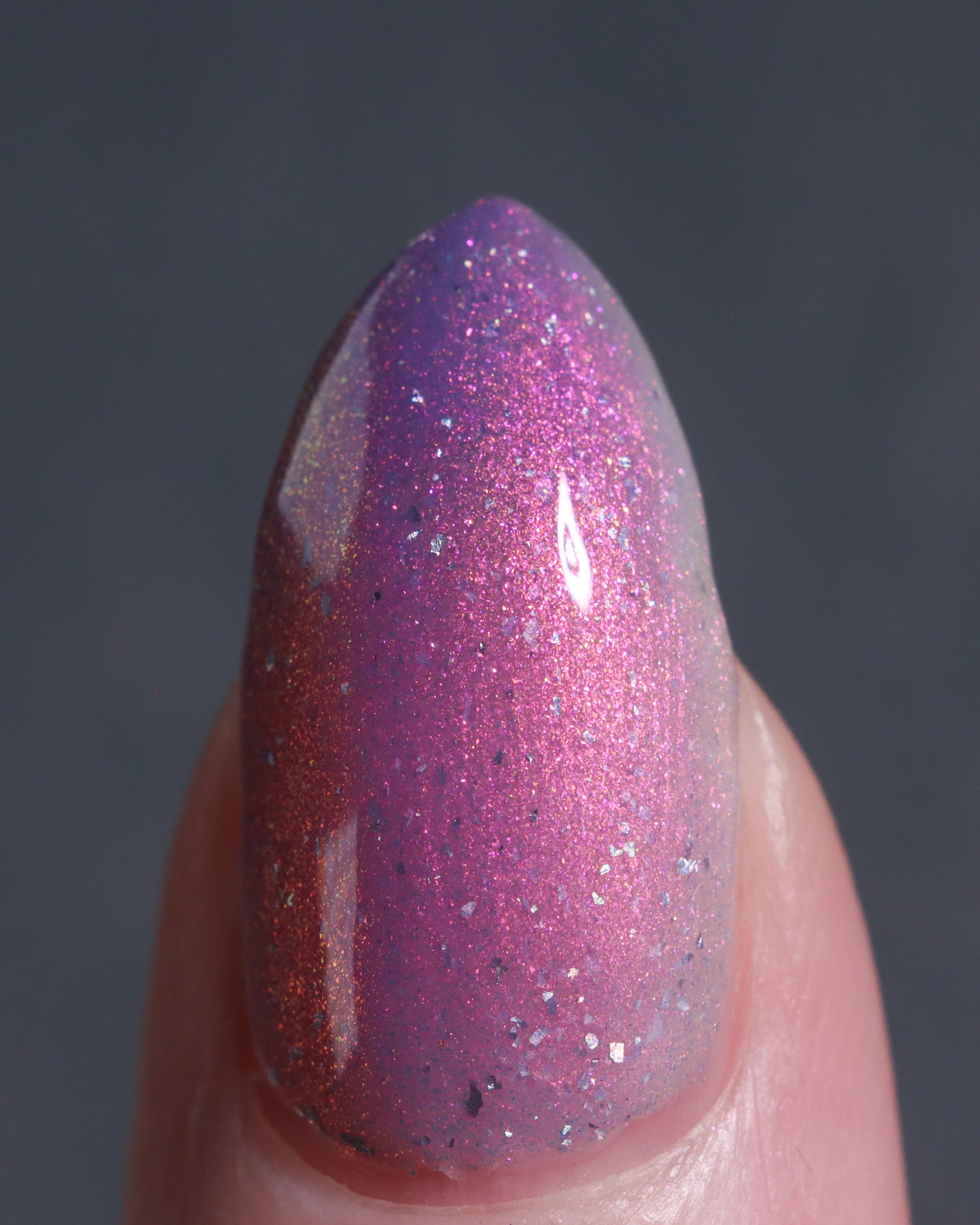 Sunspell